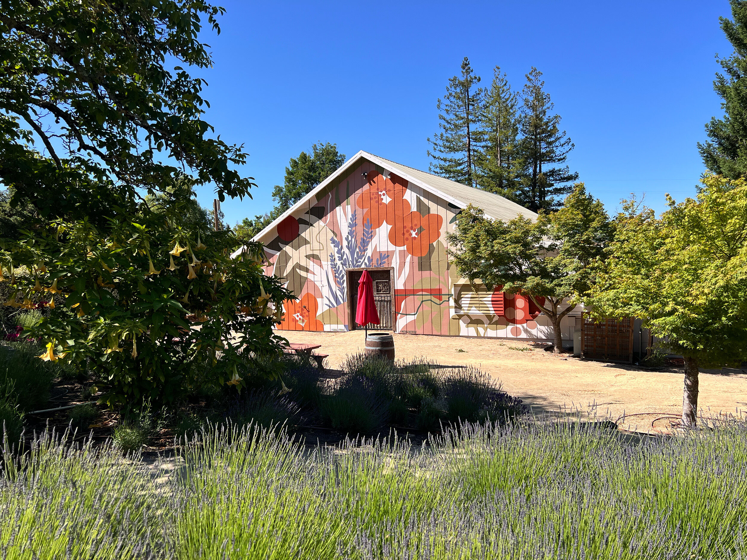 A barn with a colorful mural with greenery surrounding it and a blue sky above
